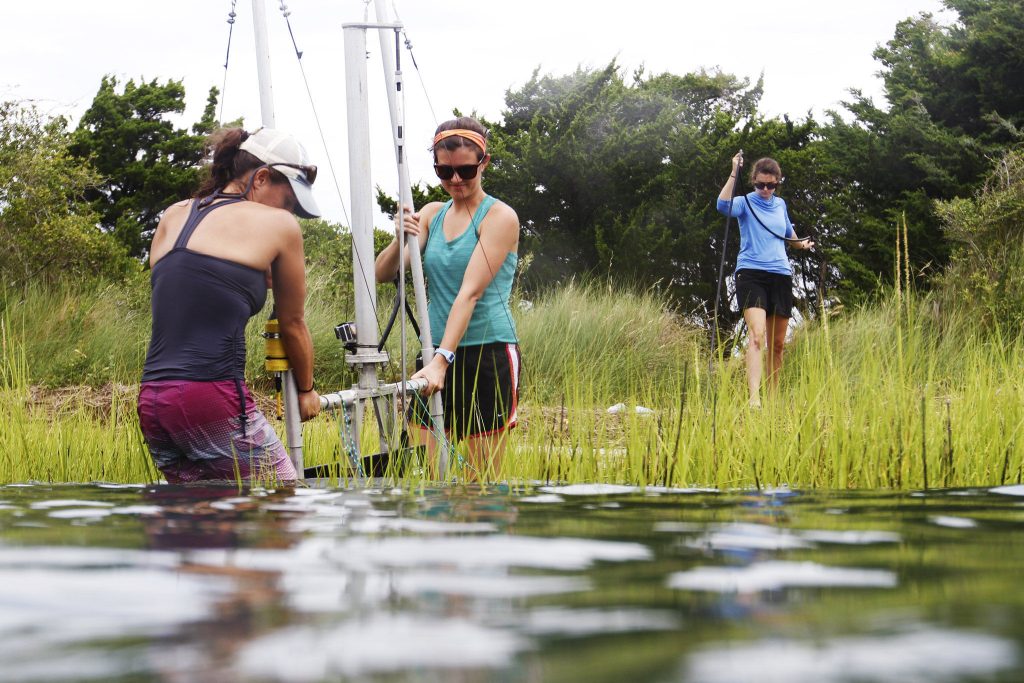 Graduate students perform research on local living shorelines through the UNC Institute of Marine Sciences.
